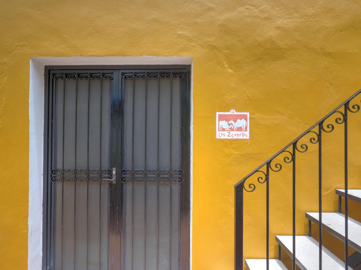 Hotel Luz En Yucatan 메리다 외부 사진